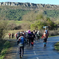 Vallegrull y Santa Ana (213)